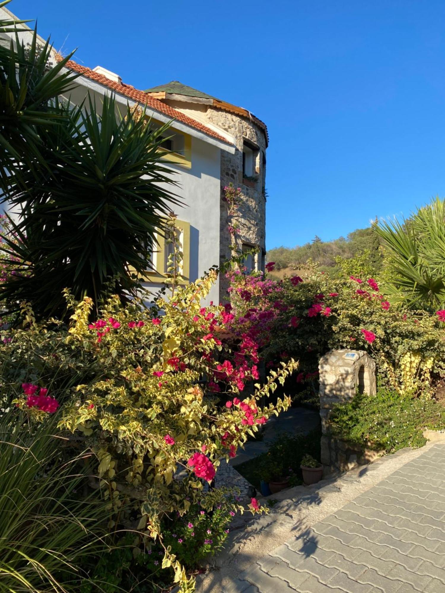 Hotel Villa Tokur Datça Ngoại thất bức ảnh